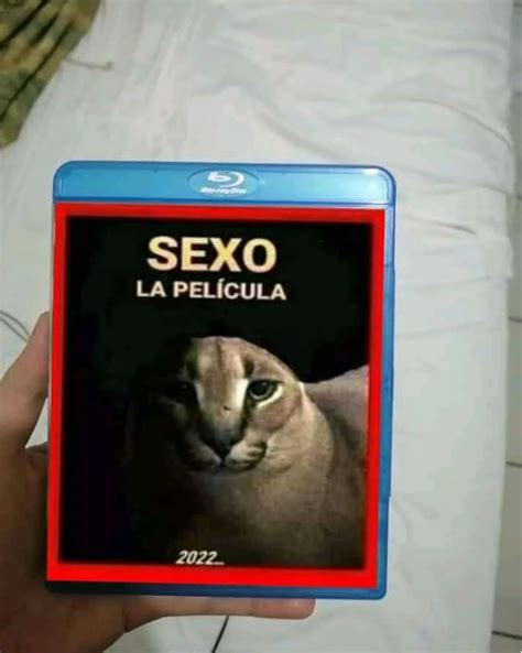 sexo la pelicula|Sexo: La Película / Sex: The Movie .